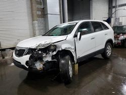 Salvage cars for sale at Ham Lake, MN auction: 2012 KIA Sorento Base