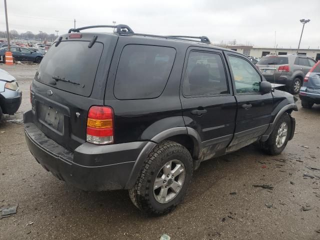 2005 Ford Escape XLT