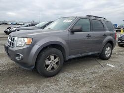 2012 Ford Escape XLT for sale in Earlington, KY