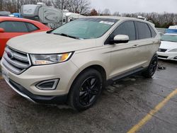 Salvage cars for sale at Rogersville, MO auction: 2017 Ford Edge SEL