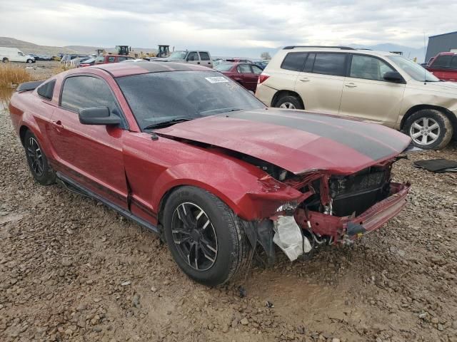 2005 Ford Mustang