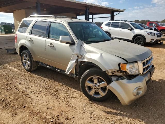 2011 Ford Escape Limited