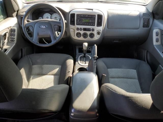 2007 Ford Escape XLT