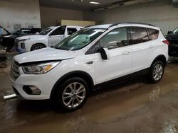 Salvage cars for sale at Davison, MI auction: 2019 Ford Escape SEL