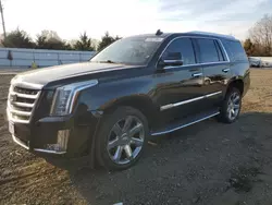 Salvage cars for sale at Windsor, NJ auction: 2016 Cadillac Escalade Luxury