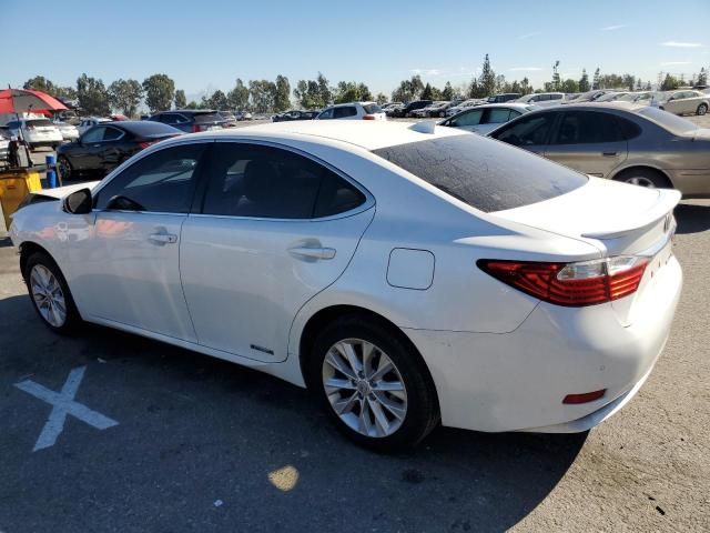 2015 Lexus ES 300H