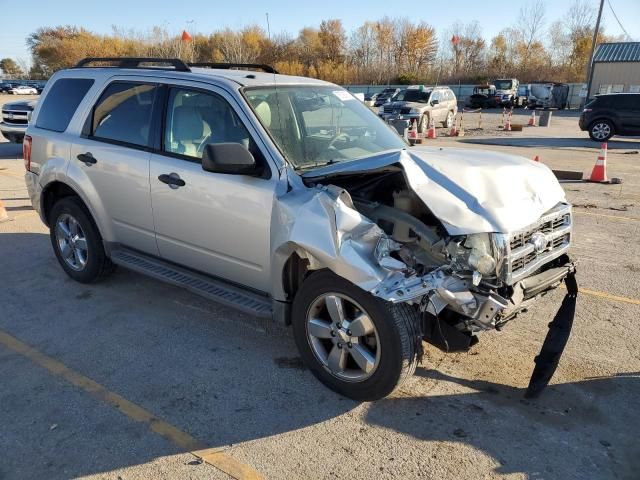 2009 Ford Escape XLT