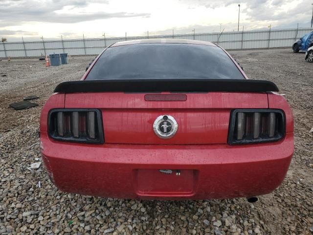 2005 Ford Mustang