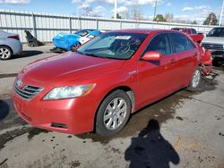 Toyota Vehiculos salvage en venta: 2009 Toyota Camry Hybrid