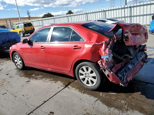 2009 Toyota Camry Hybrid