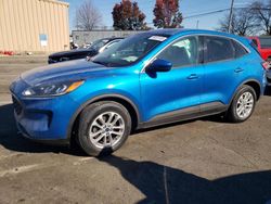 Salvage cars for sale at Moraine, OH auction: 2020 Ford Escape SE