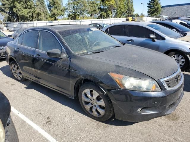 2008 Honda Accord EXL