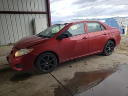 Toyota salvage cars for sale: 2009 Toyota Corolla Base