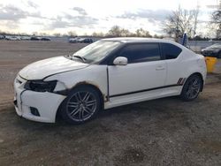 Salvage cars for sale from Copart Ontario Auction, ON: 2011 Scion TC