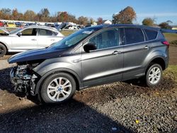 Salvage cars for sale from Copart Hillsborough, NJ: 2019 Ford Escape SE