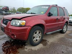 Ford Escape XLT Vehiculos salvage en venta: 2007 Ford Escape XLT