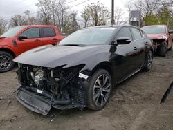 Salvage cars for sale from Copart Marlboro, NY: 2023 Nissan Maxima SR