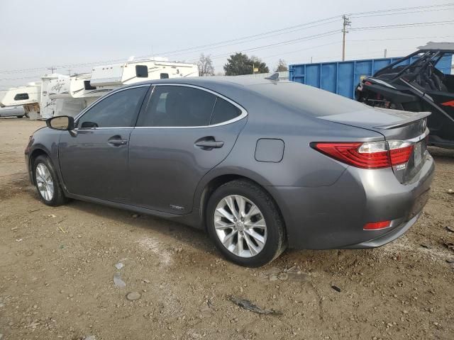 2014 Lexus ES 300H