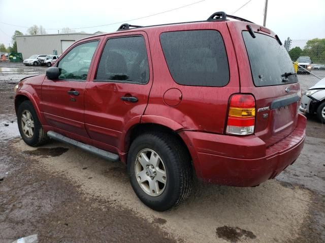 2007 Ford Escape XLT