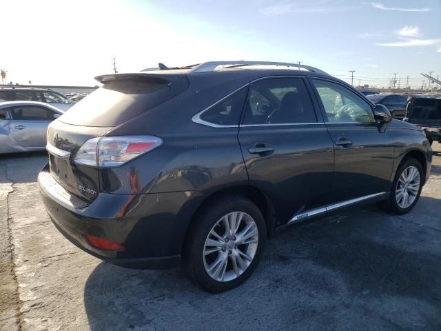 2010 Lexus RX 450