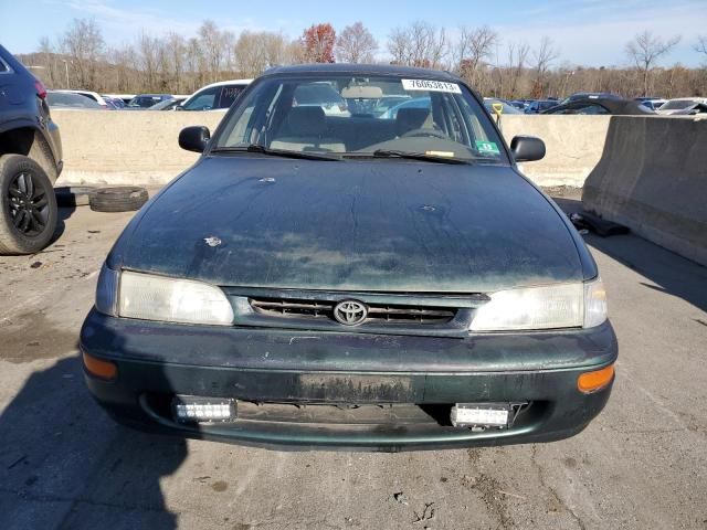 1996 Toyota Corolla