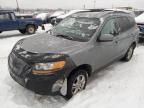 2008 Hyundai Santa FE SE