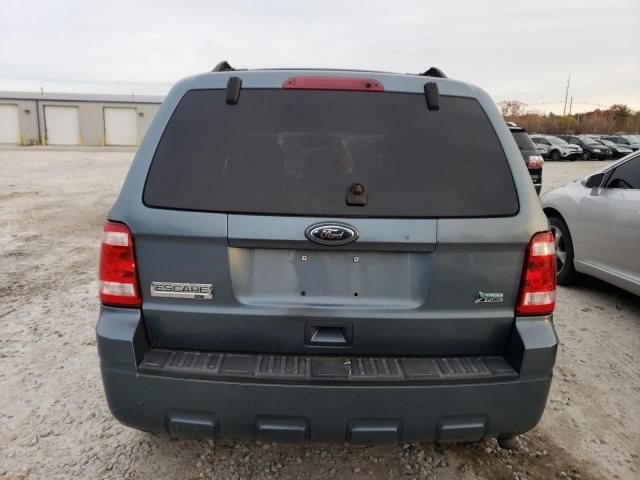 2010 Ford Escape XLT