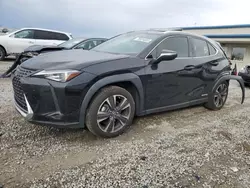 Lexus UX 250H salvage cars for sale: 2020 Lexus UX 250H