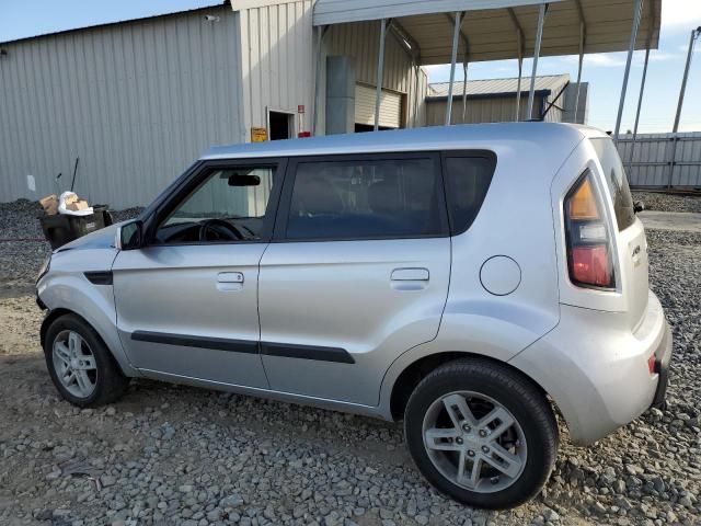 2010 KIA Soul +