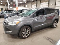 Ford Escape sel Vehiculos salvage en venta: 2013 Ford Escape SEL