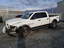 Vehiculos salvage en venta de Copart Elmsdale, NS: 2010 Dodge RAM 1500