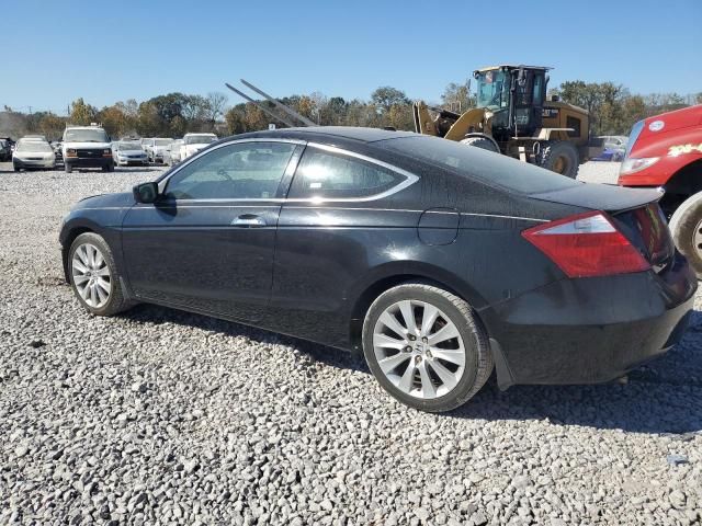 2009 Honda Accord EXL