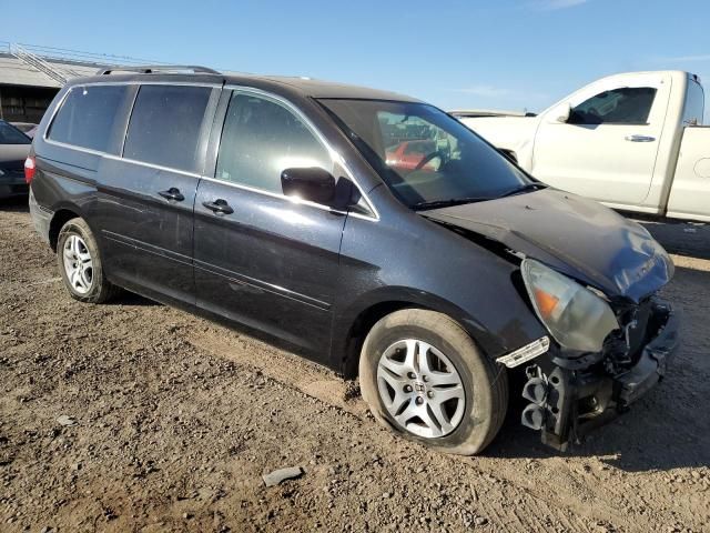 2005 Honda Odyssey EXL