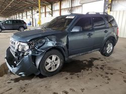 Vehiculos salvage en venta de Copart Phoenix, AZ: 2011 Ford Escape XLT