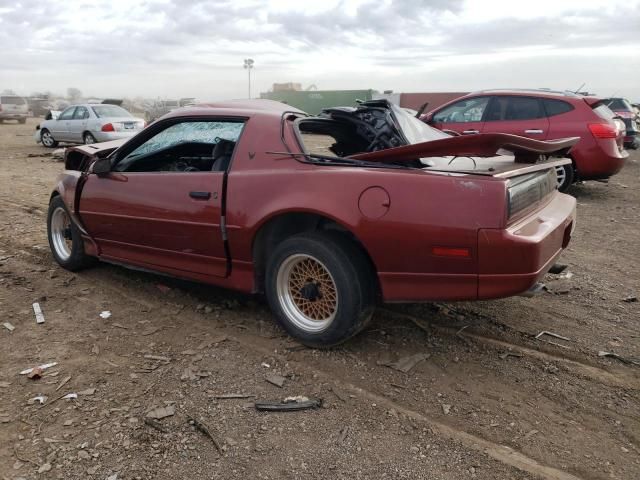 1989 Pontiac Firebird Trans AM