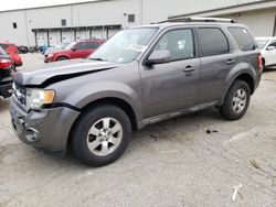 Salvage cars for sale at Earlington, KY auction: 2011 Ford Escape Limited