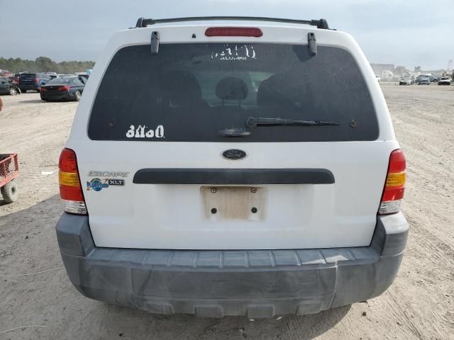 2005 Ford Escape XLT