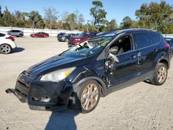 Salvage cars for sale at Hampton, VA auction: 2016 Ford Escape Titanium
