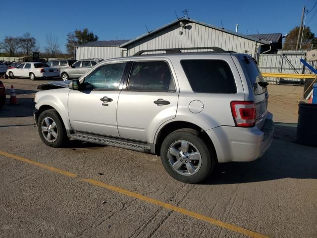 2009 Ford Escape XLT