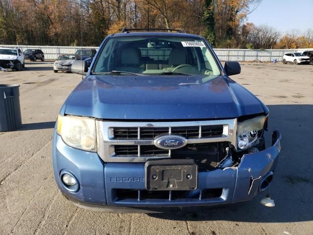 2009 Ford Escape XLT