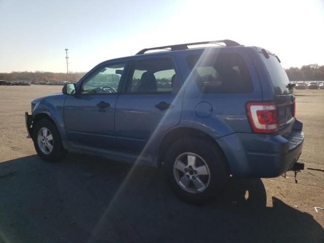 2009 Ford Escape XLT