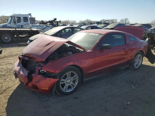 2010 Ford Mustang