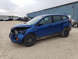 Salvage cars for sale from Copart Eldridge, IA: 2019 Ford Escape S