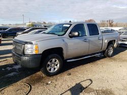 Salvage cars for sale from Copart Louisville, KY: 2008 Chevrolet Silverado C1500