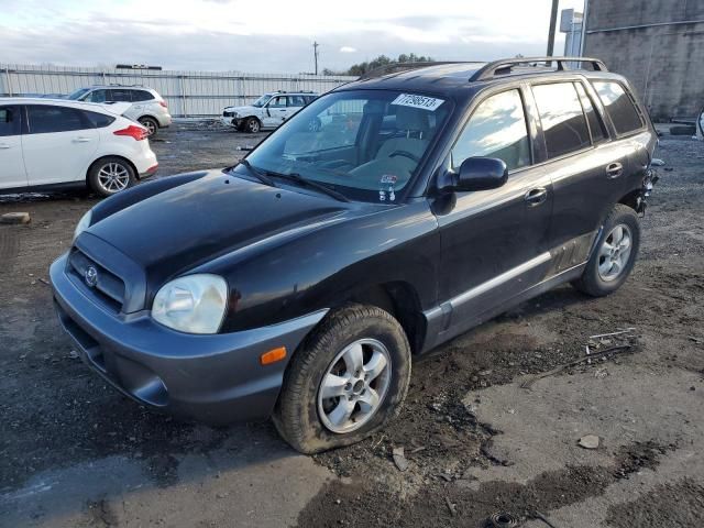 2005 Hyundai Santa FE GLS