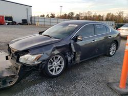 Nissan Maxima S salvage cars for sale: 2011 Nissan Maxima S