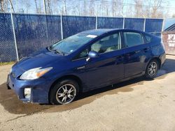 Salvage cars for sale at Moncton, NB auction: 2010 Toyota Prius