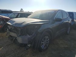 Salvage cars for sale from Copart Sacramento, CA: 2020 Ford Escape SE