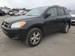 Toyota Rav4 salvage cars for sale: 2011 Toyota Rav4