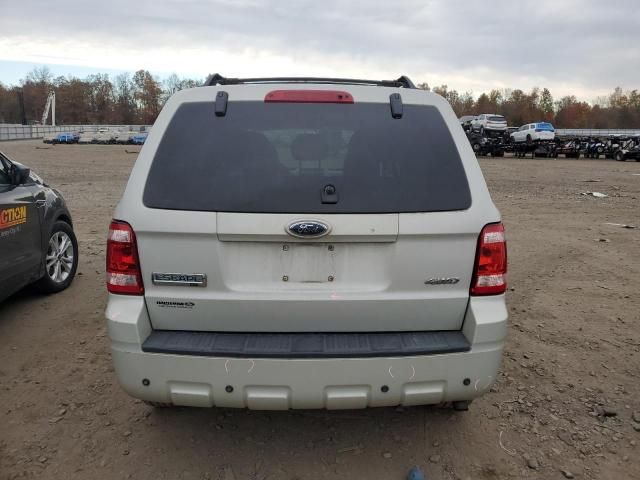 2009 Ford Escape XLT